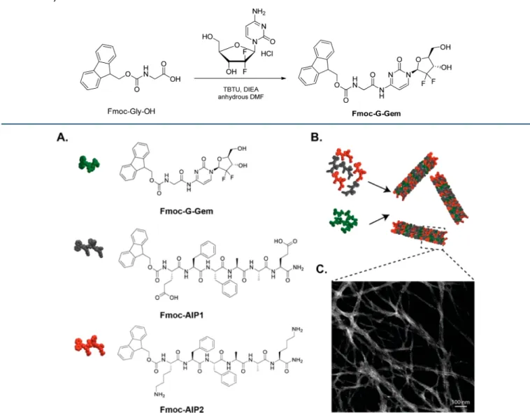 Figure 1. (A) Chemical representations of Fmoc −G−Gem, Fmoc−AIP1 (Fmoc−EFFAAE) and Fmoc−AIP2 (Fmoc−KFFAAK)