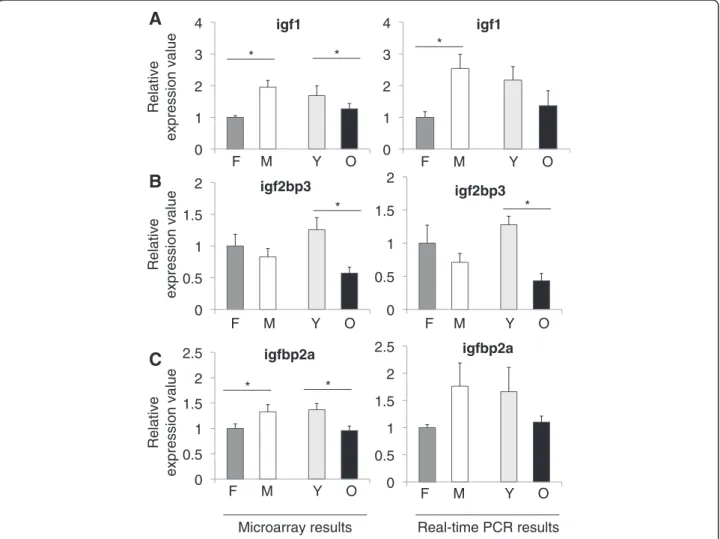 Figure 2 shows the microarray and qPCR results for igf1, igf2bp3, and igfbp2a. Igf1 is a polypeptide hormone, which is synthesized mainly in liver but also in brain