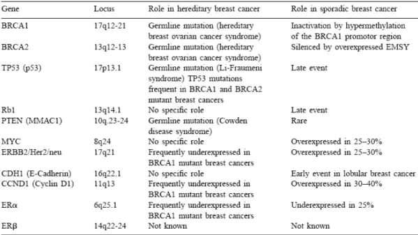Table 1.1: Genes involved in breast carcinogenesis [Kenemans et al., 2004] 