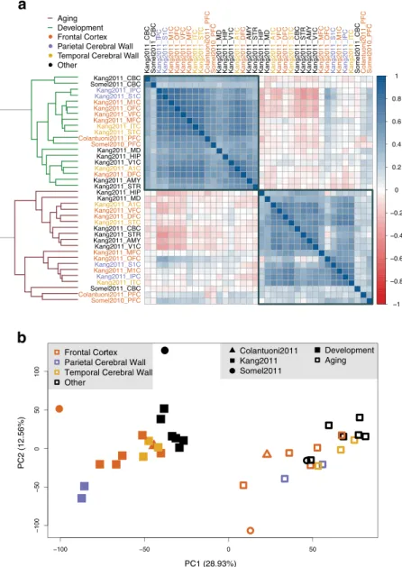 Figure 1.  Expression changes during brain postnatal development and aging. (a) Correlations among  expression-age correlation coefficients (in development or in aging) across subdatasets