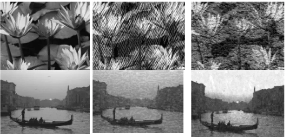 Fig. 7. Example images (Top: Dorotea, Craquelune; Bottom: Sponge, Film Grain)