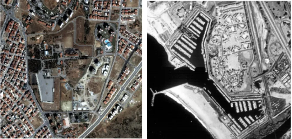 Figure 2.6: Example images from datasets.