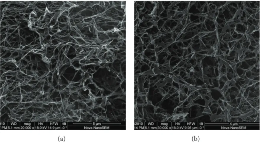 Figure 3: Scanning Electron Microscopy images of peptide amphiphile (PA) gel with Ankaferd (a) or alone (b) at pH 10.