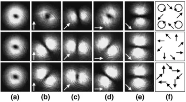 Fig. 9. The linear input polarization. In the ﬁrst row, the in- in-tensity distribution and the polarization state of the beam with no external polarization elements