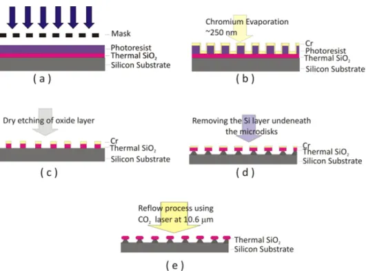 Figure 1. Fabrication steps for obtaining a silica microtoroid. 