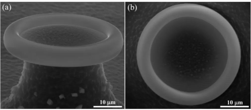 Figure 5. SEM images of the chalcogenide coated silica microtoroid (a) tilted and (b) from top
