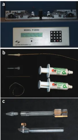 Figure 3 | Capillary needle and carbon fiber microelectrode preparation. 