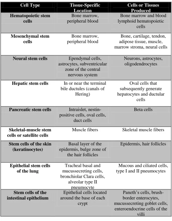 Table  1.1    Different  types  of  adult  stem  cells  and  their  location  in  the  body (Reproduced  with  permission  from  Körbling,  M  et  al