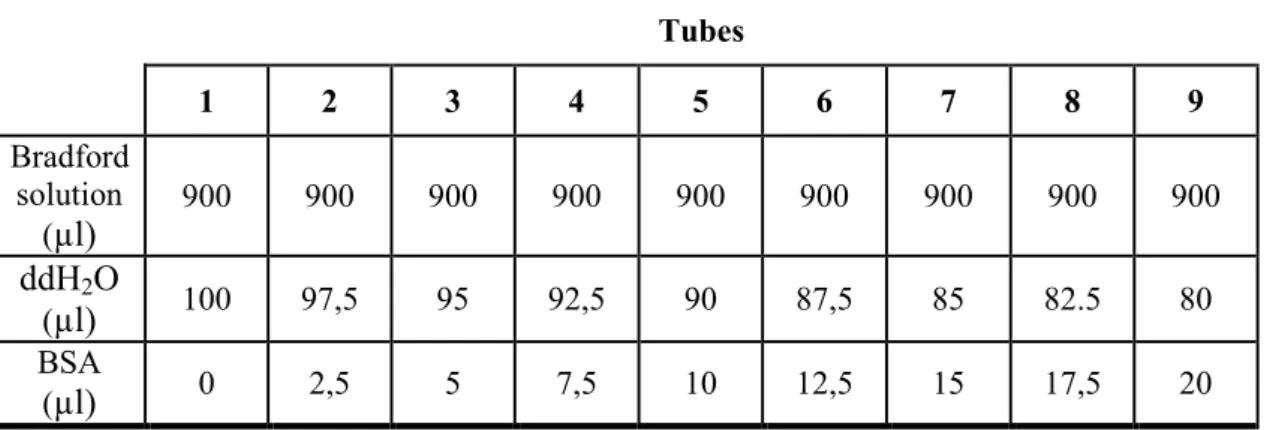 Table 3.5: Preparation of series of protein (BSA) standarts. 1 st  tube used as blank