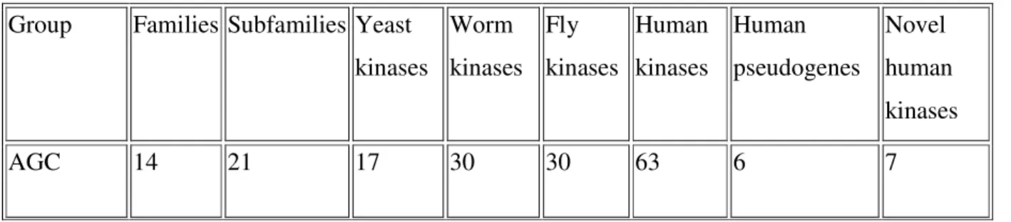 Table 1.2 Kinase distribution by major groups in human and model systems (modified from [105]) 