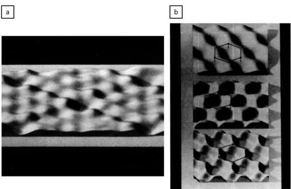 Figure  1.7  Scanning  Tunneling  Microscope  (STM)  images  of  (a)  Si  (111)  and  (b)  Graphite surfaces [23]
