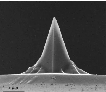 Figure 2.2 SEM image of the AFM cantilever tip used in this study. 