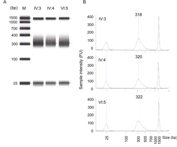 Figure 2.3 Quality control of post captured amplified whole exome library. (A) Gel image of  post-captured DNA library