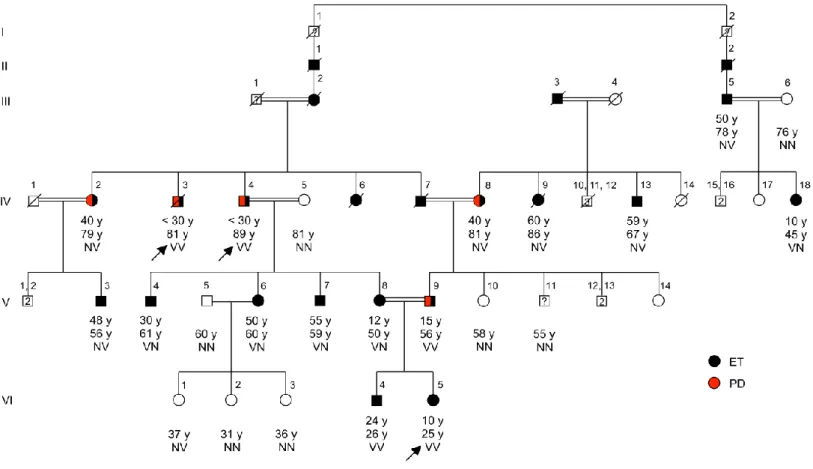 Figure 2.4 Pedigree of family ET-1 segregating essential tremor, with genotypes at HTRA2 G399S