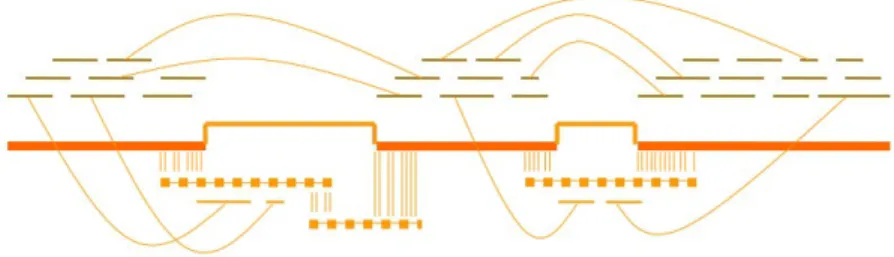 Figure 2.8: A scaffold representation