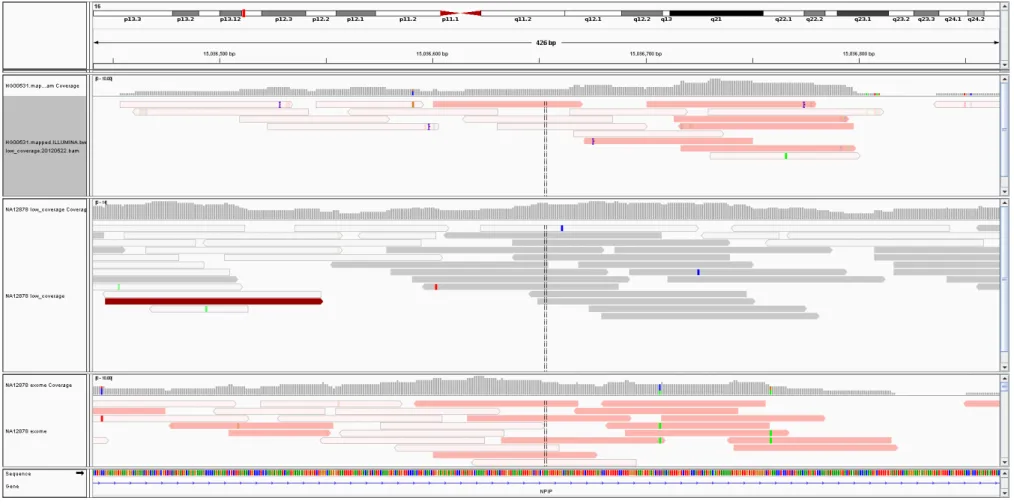 Figure 2.10: Read Alignment Visualization of 3 datasets from 1000Genomes Project [2]