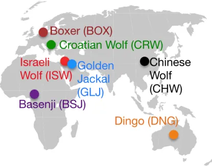 Figure 2. Comparison of next generation sequencing with array typed samples, and historical changes in effective population size.
