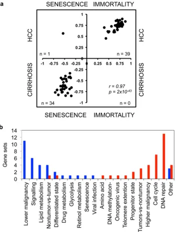 Figure 4. Comparative analysis of gene sets enriched in Huh7 clones and diseased liver tissues associated cirrhosis with senescence and HCC with immortality phenotypes,  respective-ly