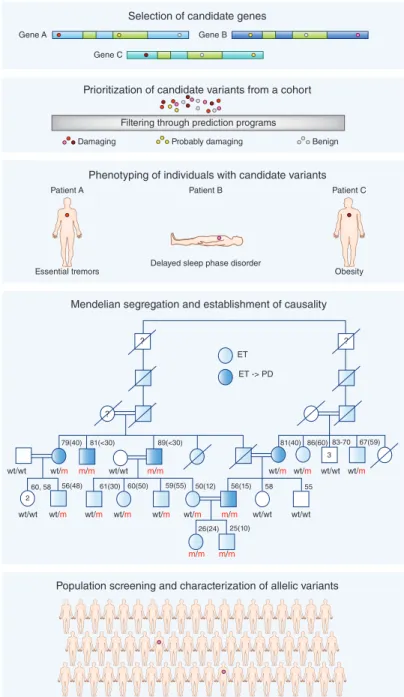 Figure 1  Reverse phenotyping of complex diseases. In reverse phenotyping, the process starts with  selection of candidate genes followed by prioritization of variants in these genes identified in a  cohort, for which the GME Variome, Exome Aggregation Con