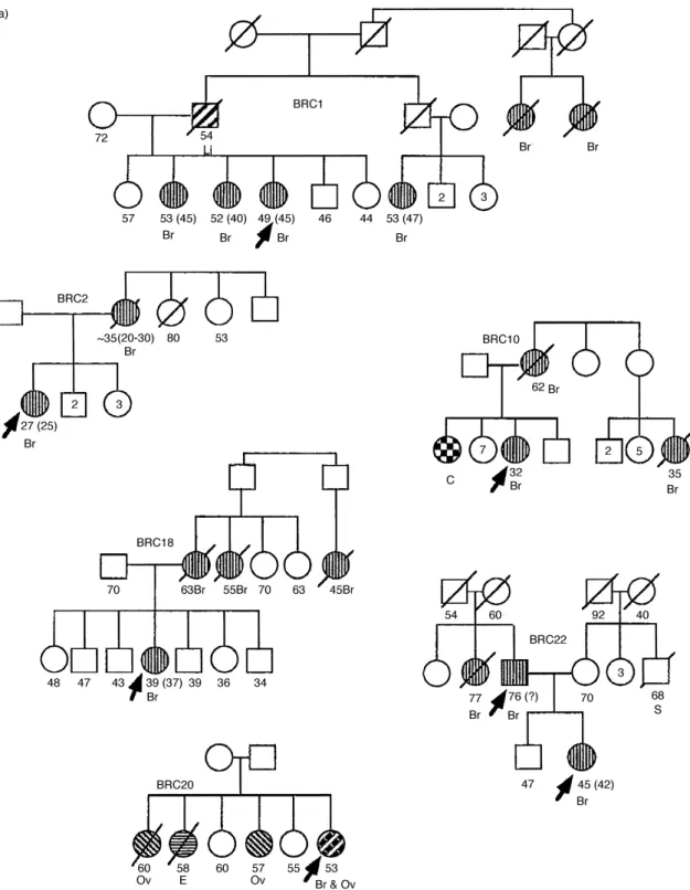 Fig. 1. Pedigrees of the hereditary (a) and familial (b) cancer groups. Ages of the individuals are indicated below the symbols, the age at diagnosis of the aected individuals are indicated in parentheses