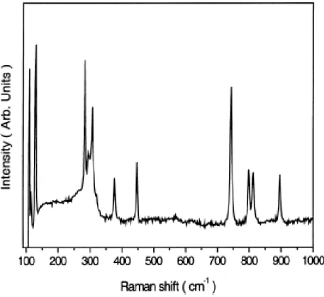 Fig. 3.3.4. Typical Raman spectrum of Ge 1-x N x  thin films 