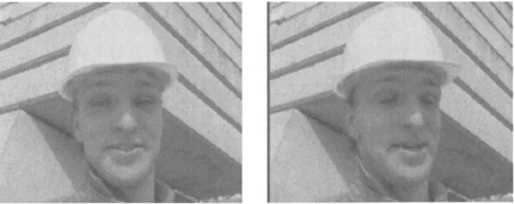 Figure 4  Original  (a)100th  and  (b)103rd frames of "Foreman"  sequence. 