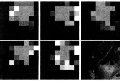 Figure 5. Estimated w, w aild W2 parameter values of the motion. [up row: left to right]