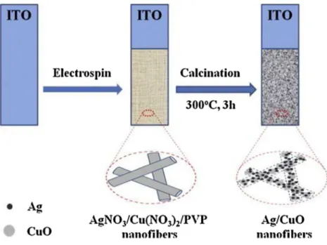 Fig. 8 The preparation process of Ag/CuO NFs –ITO electrode.