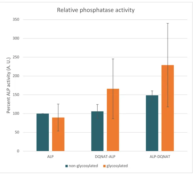 Figure 16: pNPP assay result of proteins extracted from DQNAT-ALP and  ALP-DQNAT expressing cells’ periplasm in the presence and absence of  pgl-pACYC