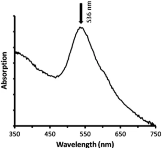 Fig. 3. The solid-state UV–vis spectrum of the PVP/Au-NP nanoﬁbers. Note: the background is corrected with the pure PVP nanoﬁbers.