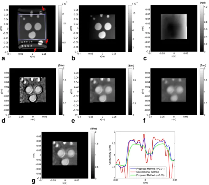 Figure 3 shows the reconstructed conductivity maps for the human head simulation with diffusion constant, c¼0.005