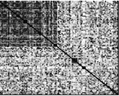 Figure 6. Dissimilarity matrix for 201 images in the search space for the name Hans Blix