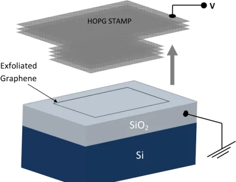 Figure 3-1. A schematic of electrostatic exfoliation. Graphene is exfoliated from HOPG   surface with an applied bias