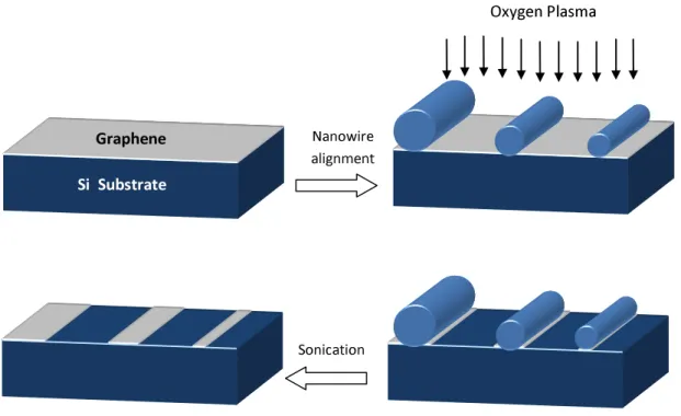 Figure 3-2. Schematic of nanowire etching mask technique in fabrication of graphene  nanoribbons with various widths