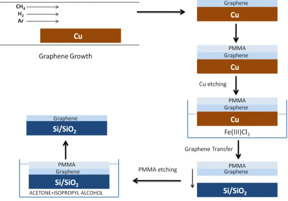 Figure 3-6.The schematic of graphene transfer onto Si/SiO 2 . After graphene growth on  Cu, PMMA is cured onto the Cu foil and sample is put into 0.05 g/mL Fe(III)Cl 3