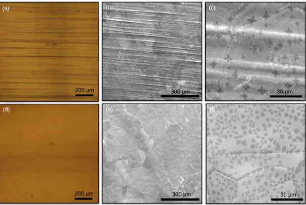 Figure  1.2:  Effects  of  copper  surface  morphology  to  graphene  growth. (a)  Optical microscope image of rough copper foil (Alfa Aesar foil (item #13382))