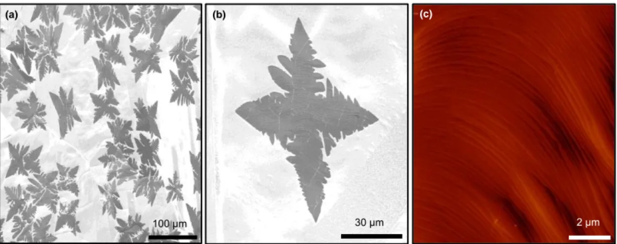 Figure  1.3:  Graphene  flake  formation  at  early  stages  of  growth.  (a,b)  SEM  images  of  the  surface  of  the  ultra  smooth  copper  partially  covered  by  graphene  flakes