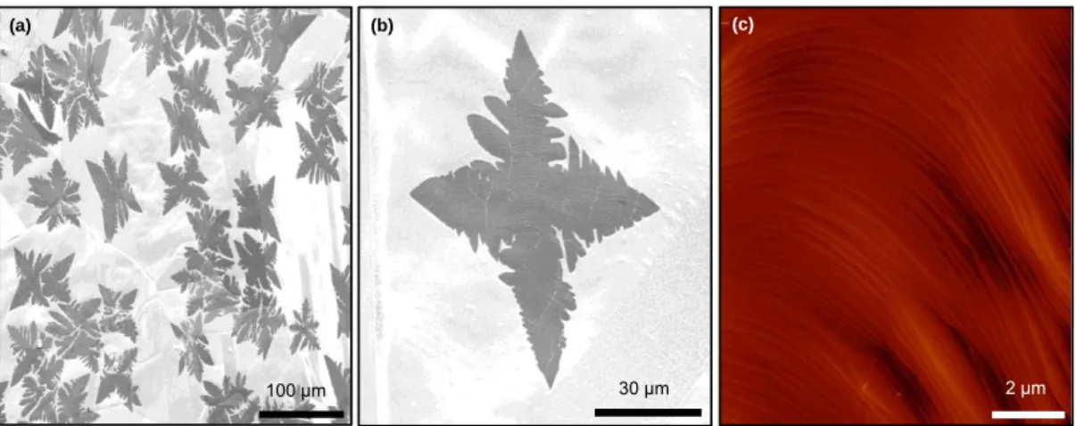 Figure  1.3:  Graphene  flake  formation  at  early  stages  of  growth.  (a,b)  SEM  images  of  the  surface  of  the  ultra  smooth  copper  partially  covered  by  graphene  flakes