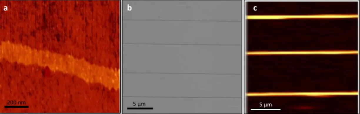 Figure 1.15: Structural characterizterization of fabricated graphene ribbons. (a)  Atomic force microscope image of an individual ribbon