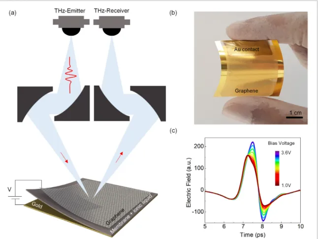 Figure 1.  Electrically tunable phase modulator. (a) Experimental setup used for the terahertz time-domain reflection  measurements