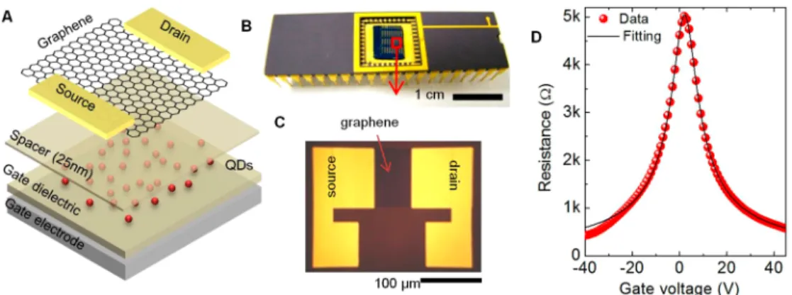 Figure 2. Gate-controlled ﬂuorescence quenching of QDs. (a) Fluorescence microscope images of the QDs in the channel area of graphene transistors for various gate voltages ranging from −40 to 40 V