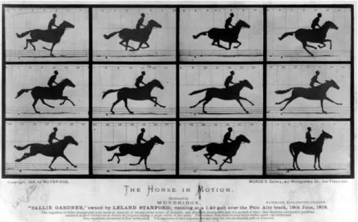 Figure 9 - The horse in motion, Muybridge 