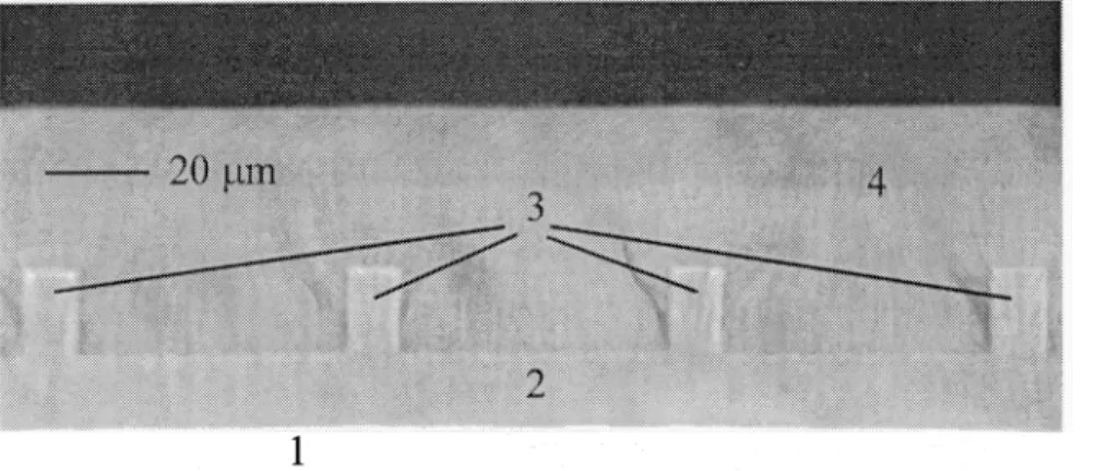 Fig. 2. AFM photograph of polymeric phase mask.