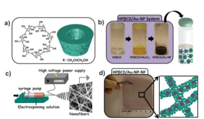 Fig. 2 (a) The representative SEM image, (b) the STEM image of the electrospun HPbCD/Au-NP-2%-NF (DMF) and the HR-TEM image of a single Au-NP indicating the d-spacing between Au {111} planes as inset figure.