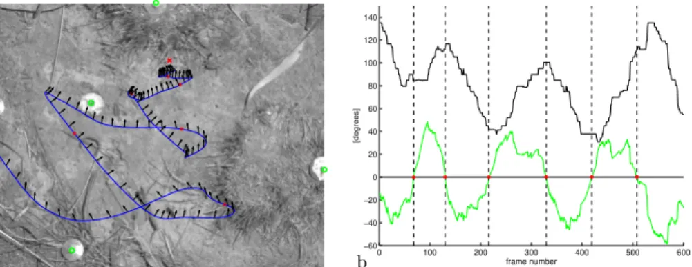 Fig. 1. a) The trajectory (blue curve) of a ground-nesting bee’s learning ﬂight, over- over-laid on a frame recorded with the downward looking high-speed camera