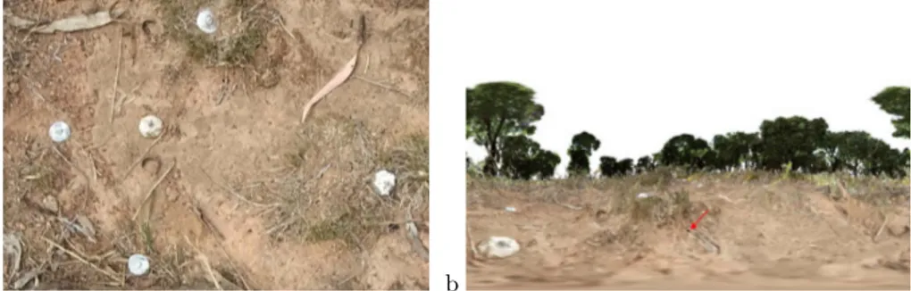 Fig. 2. a) Rendered image showing the part of scene that is seen by the downward looking high-speed camera (see ﬁgure 1 a)
