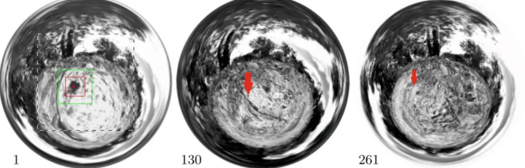 Fig. 3. The ﬁrst, an intermediate and the last frame of wasp learning flight 1. The dashed rectangle overlaid on frame 1 depicts the central part of the image used to display the tracking sequences in ﬁgure 4