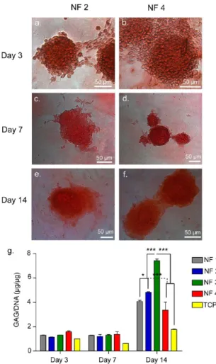 Figure 4. Safranin-O and DMMB staining for GAG incorporation.