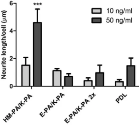 Figure 7. Immunostaining of PC-12 cells against β-III-Tubulin (a,d,g) and Syn1 (b,e,h) on NGF treated surfaces: (a−c) HM-PA/K-PA, (d−f) E- E-PA/K-PA, (g−i) PDL
