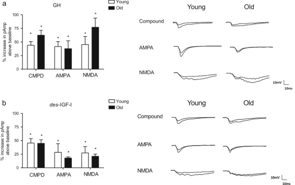 Fig. 2 GH and des-IGF-I enhancement of excitatory transmis- transmis-sion in young and old rats